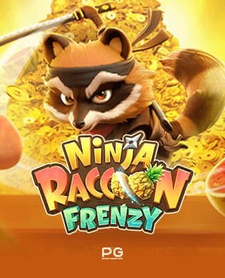 Ninja Raccoon Frenzy