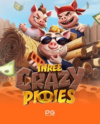 Three Crazy Piggies