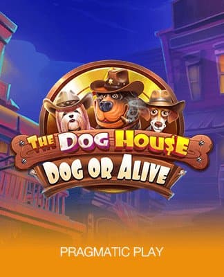 The Dog House - Dog or Alive