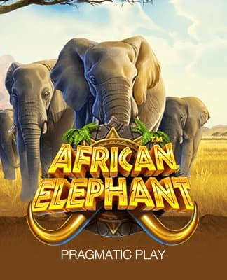 African Elephant