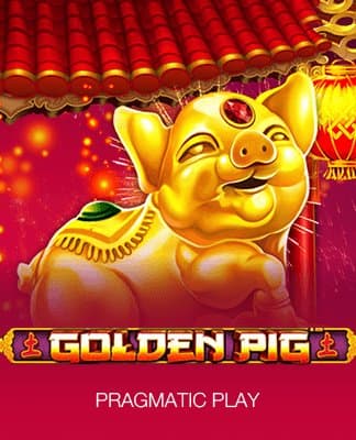 Golden Pig