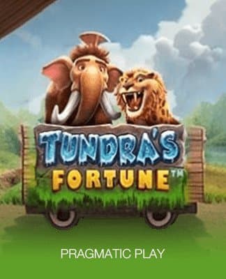 Tundra's Fortune